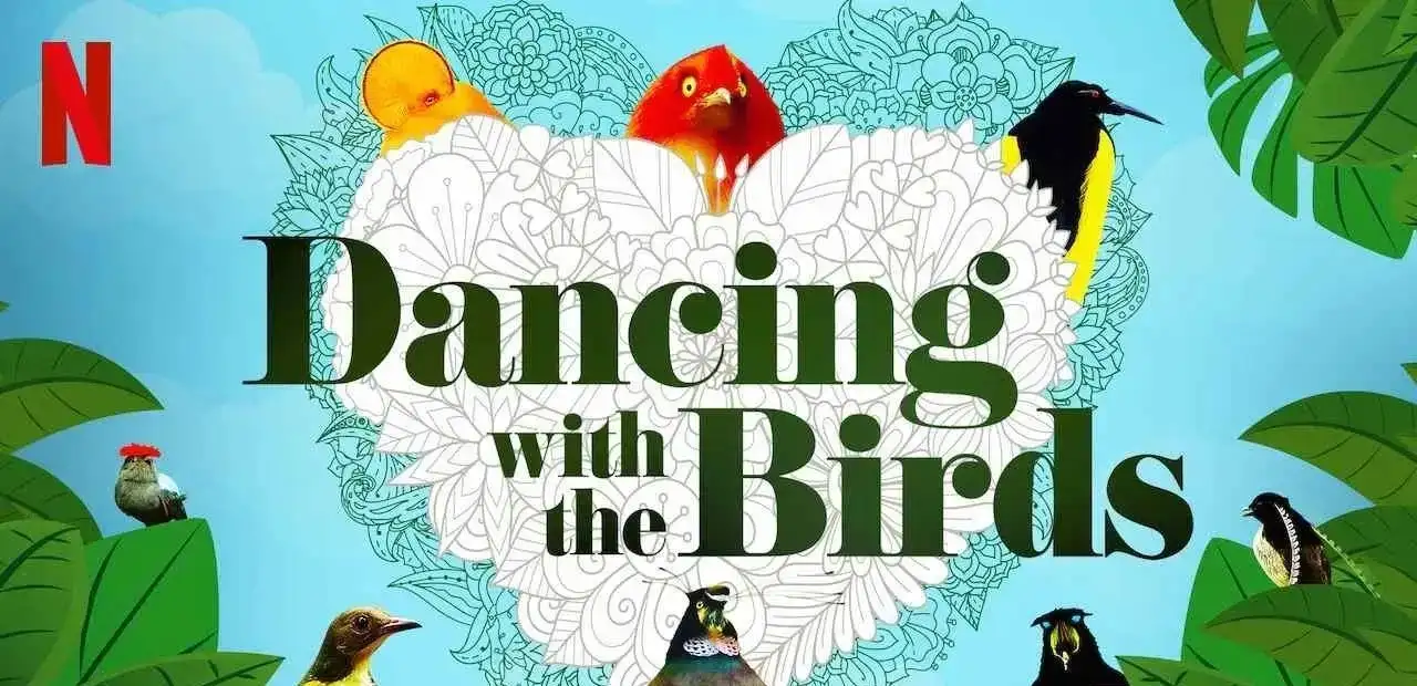 Kuşlarla Dans (Dancing with the Birds)